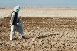afghanistan’s-farmers,-herders-desperate-for-seed,-food-and-cash 