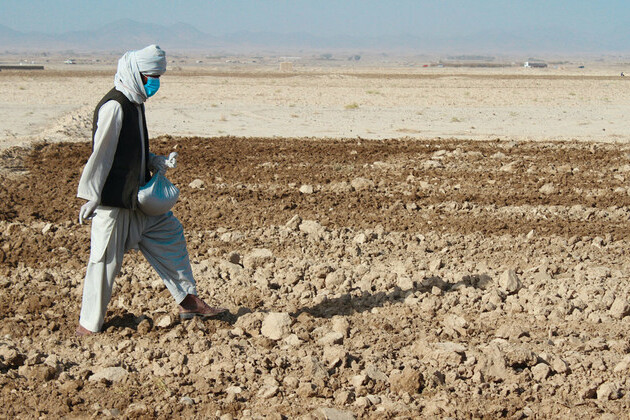 afghanistan’s-farmers,-herders-desperate-for-seed,-food-and-cash 