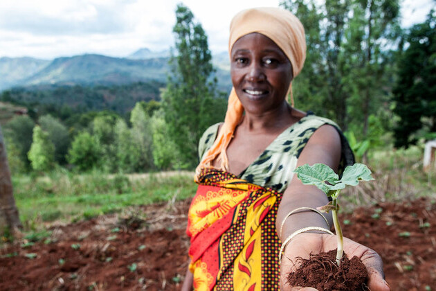 excess-salt-in-soils-puts-food-security-at-risk:-fao