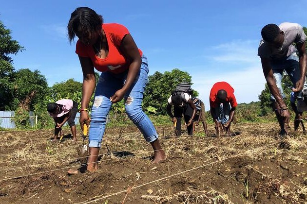 first-person:-cultivating-haiti’s-future