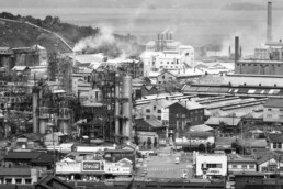 first-person:-telling-the-tragic-story-of-mercury-poisoning-in-japan