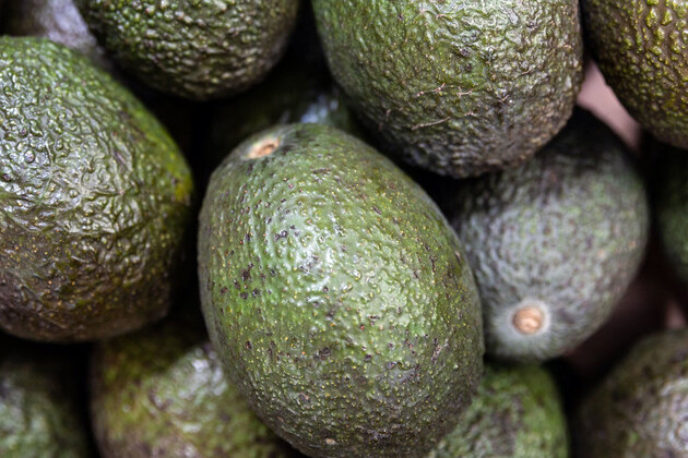 food-heroes:-ethiopian-avocado-farmer’s-‘transformational’-crop