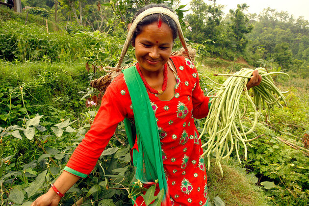 international-day-honours-rural-women’s-critical-role-in-feeding-the-world