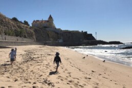 portuguese-beaches-lead-the-way-during un, eu-clean-up-campaign 