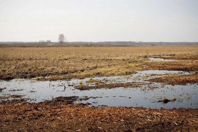 un-agencies shocked-by-deaths-near-belarus-poland border 