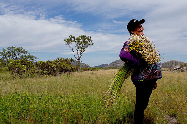 unesco-marks-semi-centennial-anniversary-of-biosphere-preservation