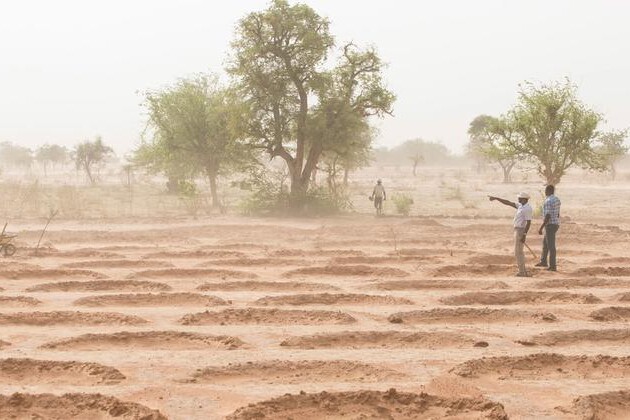 bringing-dry-land-in-the-sahel-back-to-life