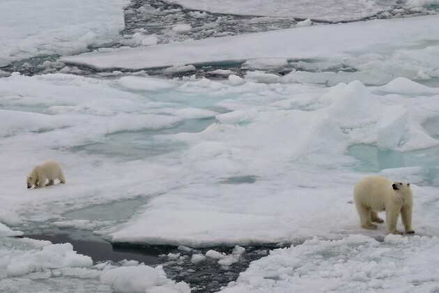 climate-change: for-25th-year-in-a-row,-greenland ice sheet-shrinks 