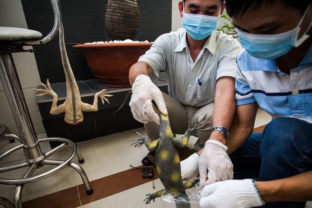 forensic-lab-aids-crack-down-on-illegal-wildlife-trade-in-viet-nam