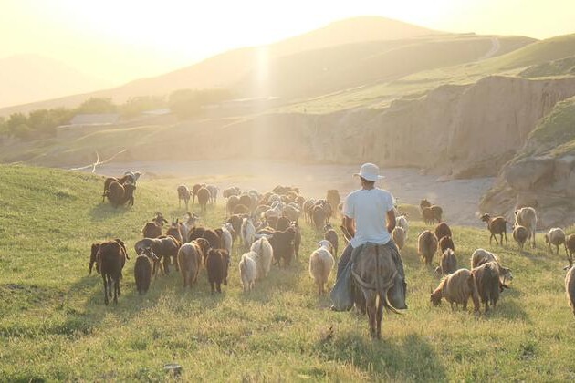 from-the-field:-working-with-nature-to-transform-lives