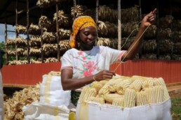 wfp-backed-challenge-boosts-food-system-in-rwanda-and-beyond