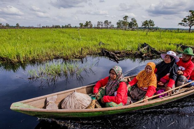 wetlands: ‘unsung-heroes’ of-the-climate-crisis