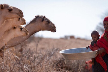 years-of-drought-pushing-families-to-the-brink-in-ethiopia