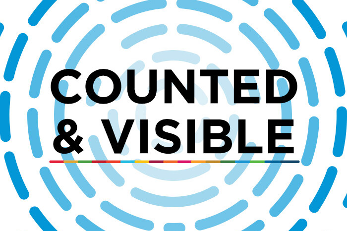 counted-and-visible-toolkit