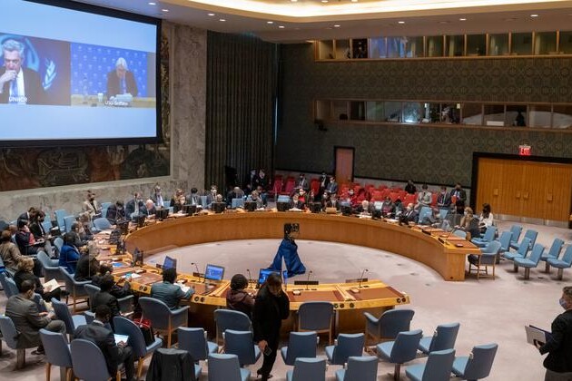 crises-unfolding-in-ukraine-ripple-throughout-europe-–-security-council-hears