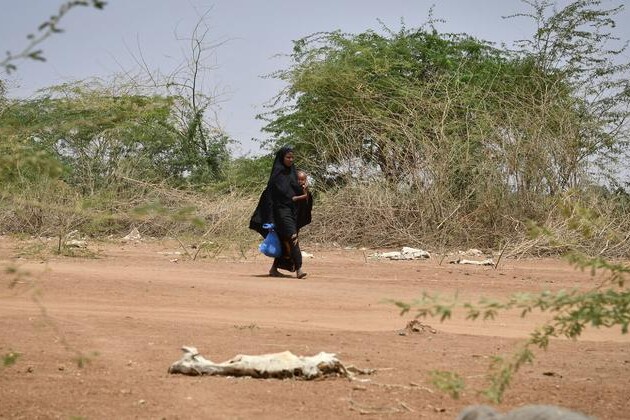 growing-risk-of-somalia-famine,-as-drought-impact-worsens