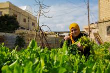 in-lebanon,-women-are-leading-the-fight-against-climate-change