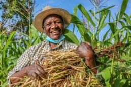 seeds-of-change-in-kenya-as-farmers-lead-way-on-tobacco-free-farms