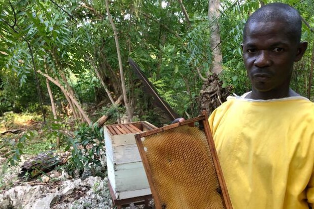 first-person:-sweet-taste-of-modern-beekeeping