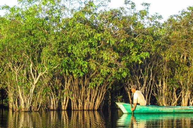 global-awareness-critical-to-protect-world’s-mangroves:-un-science-chief