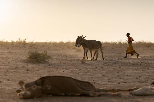 hunger-still-rising-across-east-africa,-says-new-un-backed-report