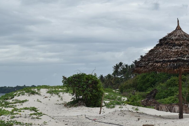 kenya’s-kuruwitu-corals-are-back,-thanks-to-local-conservation-drive