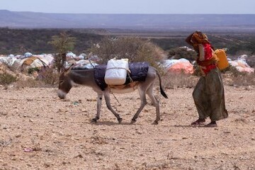 impacts-of-conflict-and-climate-change-fueling-crisis-in-ethiopia