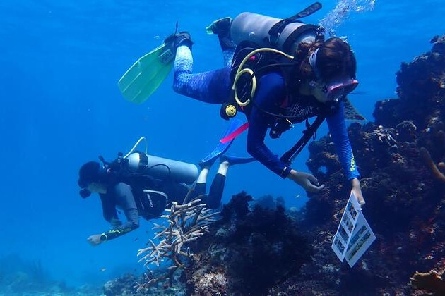 women-lead-marine-restoration-efforts-in-the-unesco-seaflower-biosphere-reserve